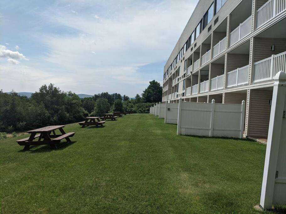 Cute Lower Level Cedar Lodge Room With Balcony & Lake Views! لاكونيا المظهر الخارجي الصورة